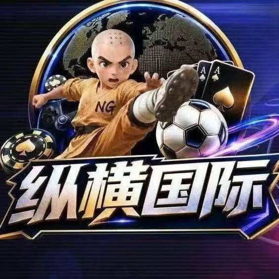 纵横国际